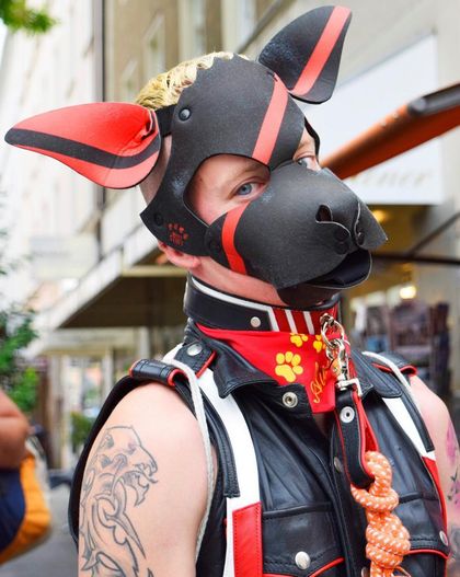 puppy_aurium OnlyFans picture
