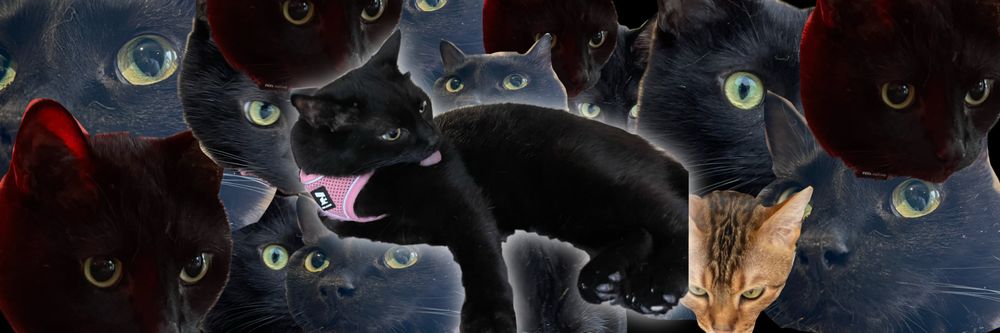 xoblackkittyxo OnlyFans profile picture