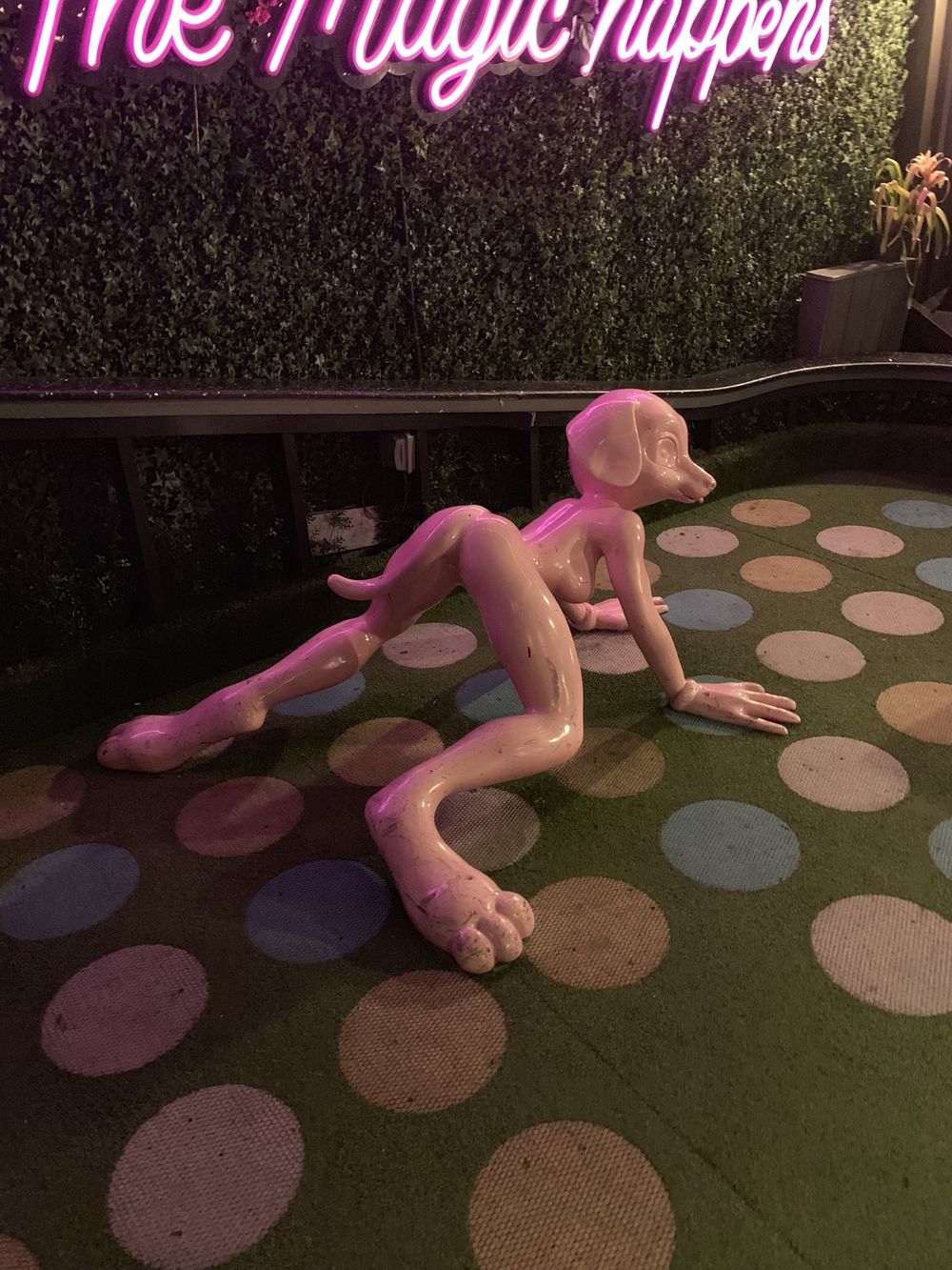 dollysfavoritetwins OnlyFans profile picture