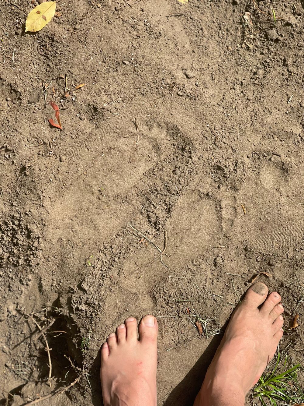 timtumblerfeet OnlyFans profile picture