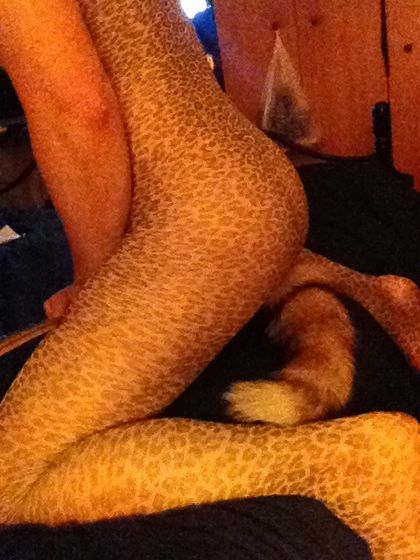 secretbrummy OnlyFans picture