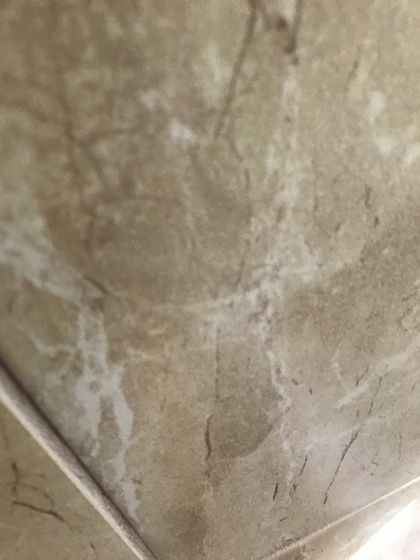 u258218561 OnlyFans picture