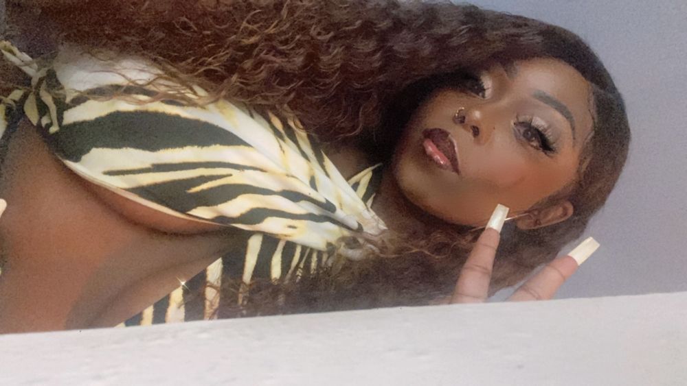 chancann OnlyFans profile picture