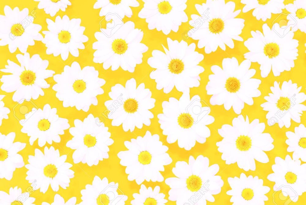 flowertbh OnlyFans profile picture