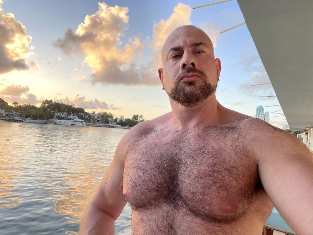 wassimhabibi OnlyFans profile picture