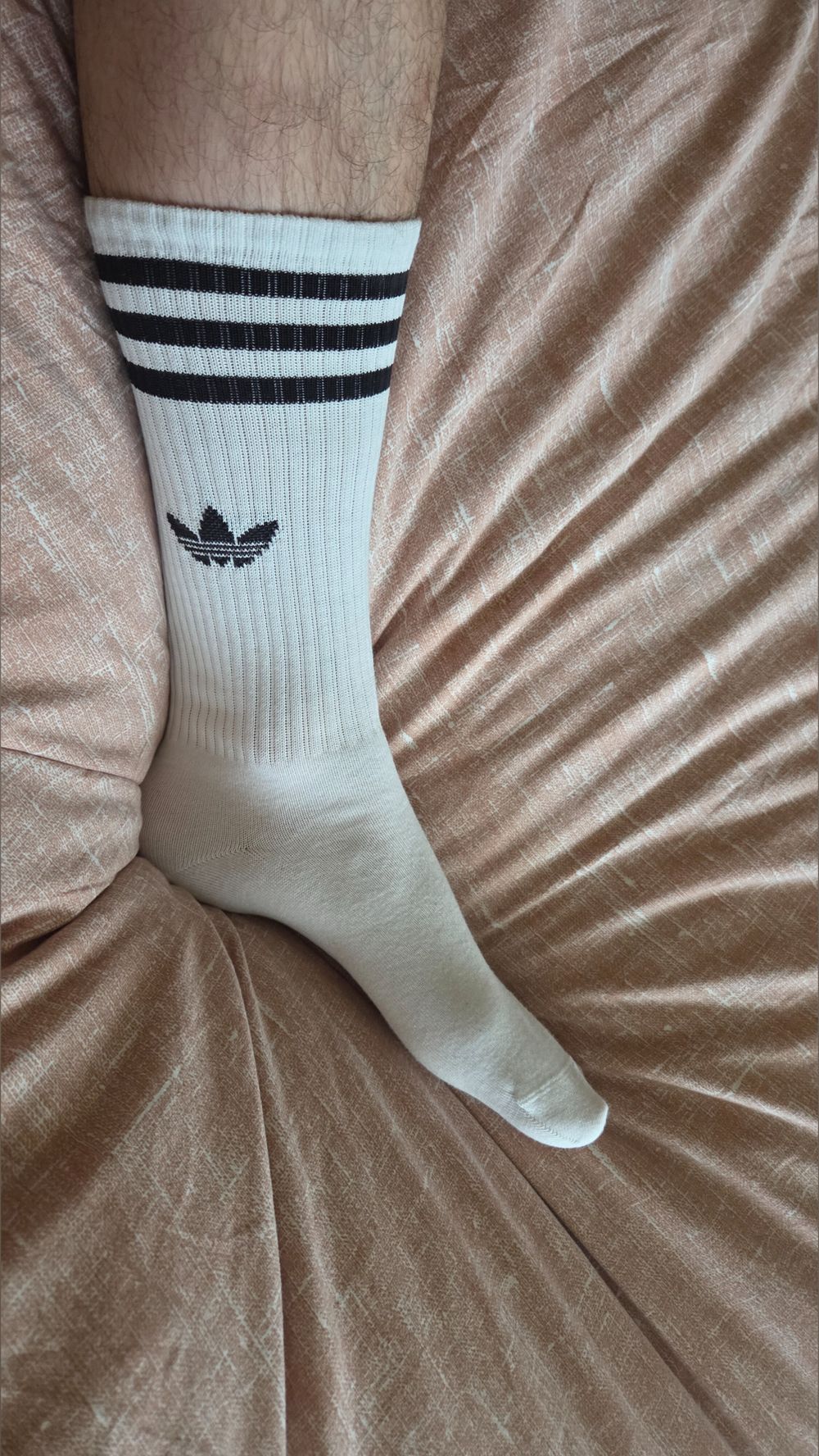 chilifeets OnlyFans profile picture