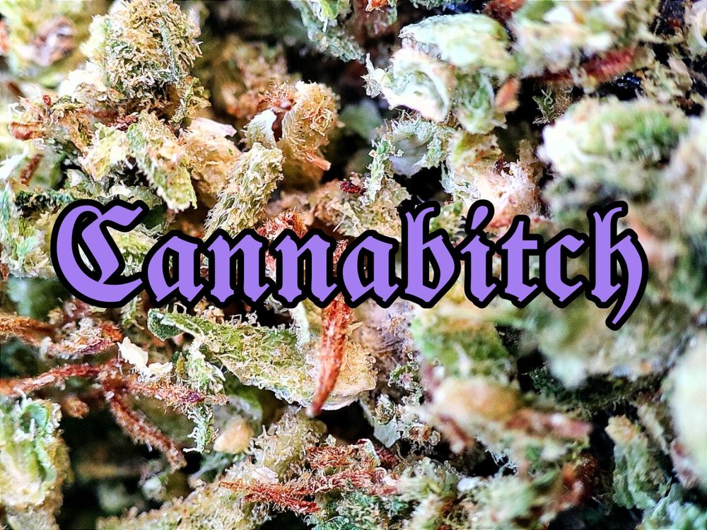 cannabitch420 OnlyFans profile picture