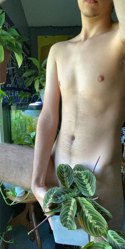 ilemon101 OnlyFans picture