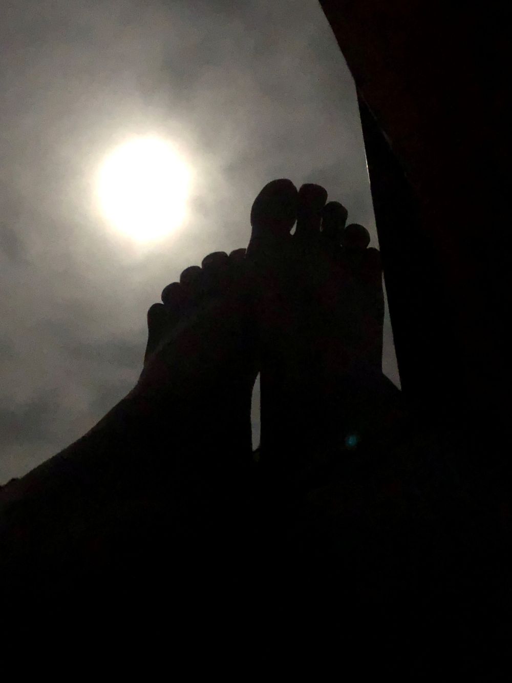 babyspider OnlyFans profile picture