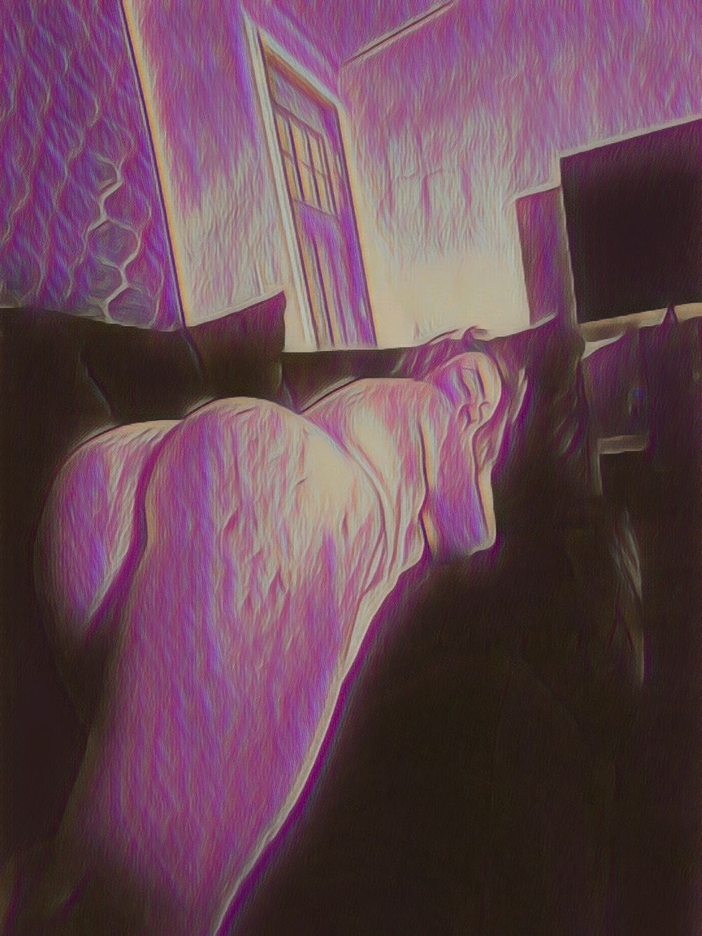 prettytitykity OnlyFans profile picture