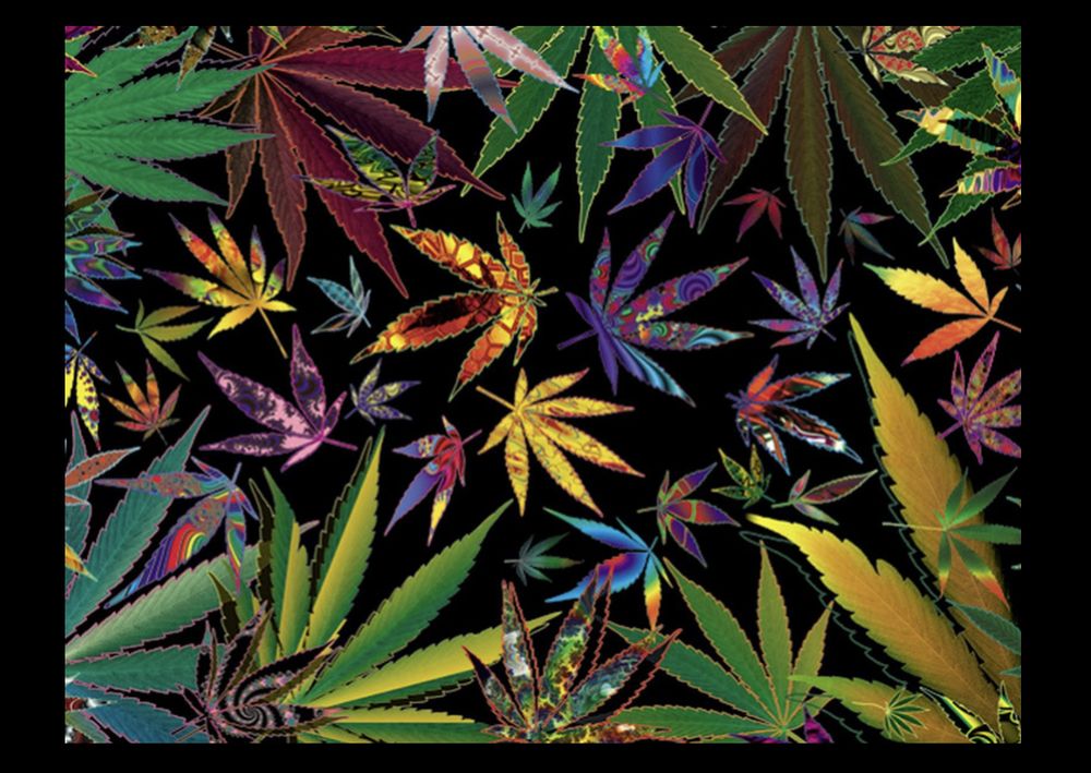 dabprincess420 OnlyFans profile picture