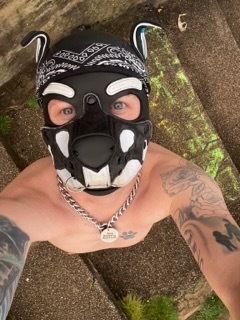 orca_puppo316 OnlyFans profile picture