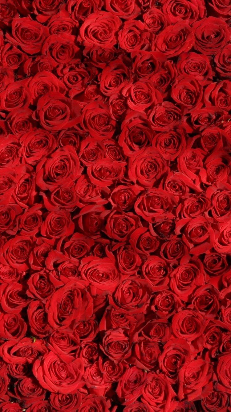 yleiram7 OnlyFans profile picture