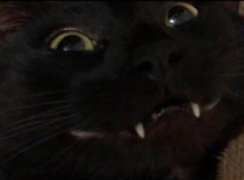 nopeimjon OnlyFans profile picture