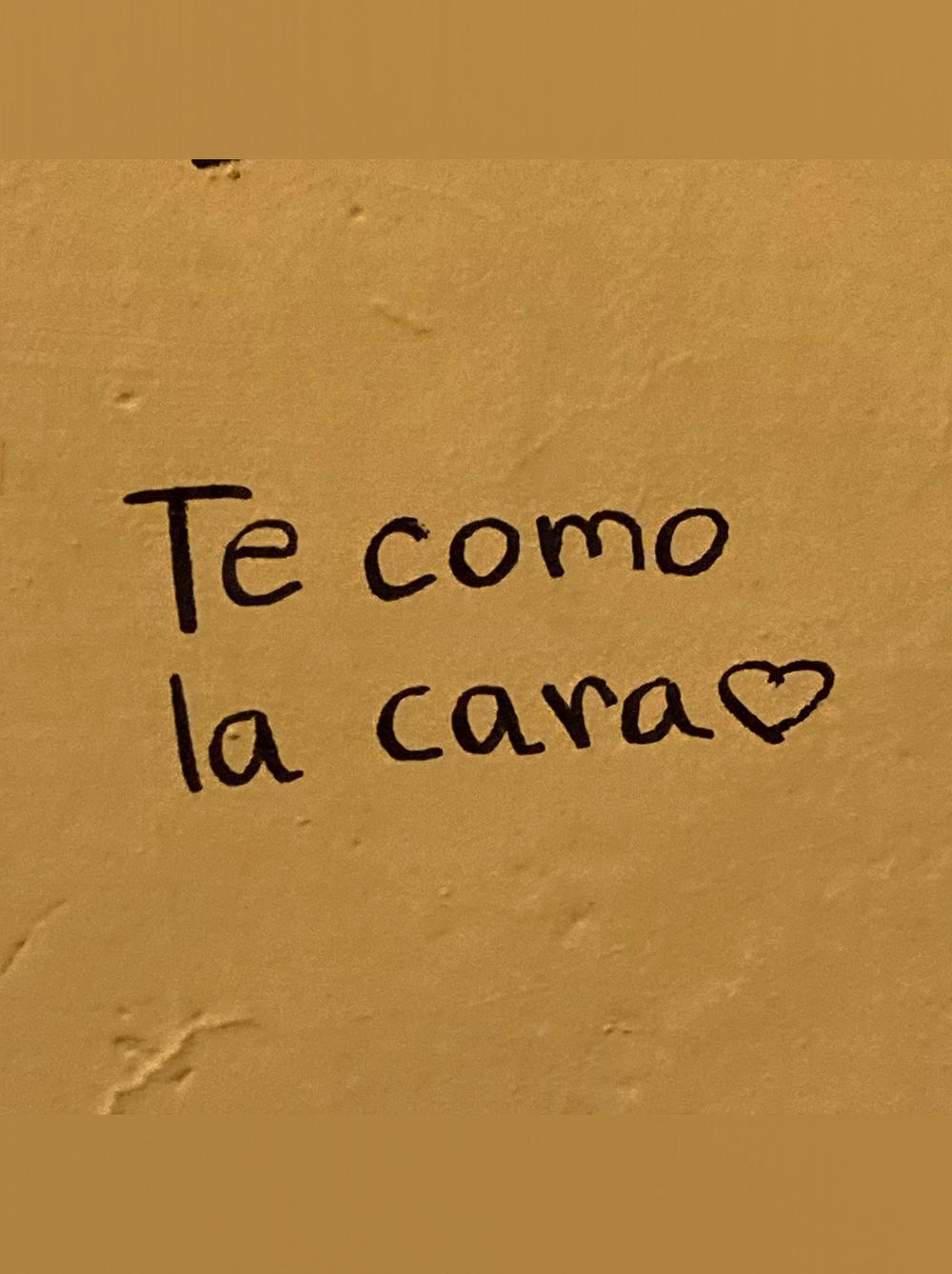 yonosoypiupipero OnlyFans profile picture