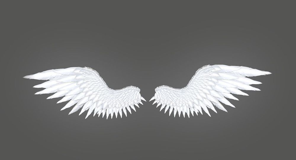 angel1337 OnlyFans profile picture