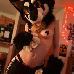 Tundra After Dark