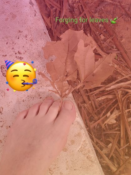 fabulouslookinfeet OnlyFans picture