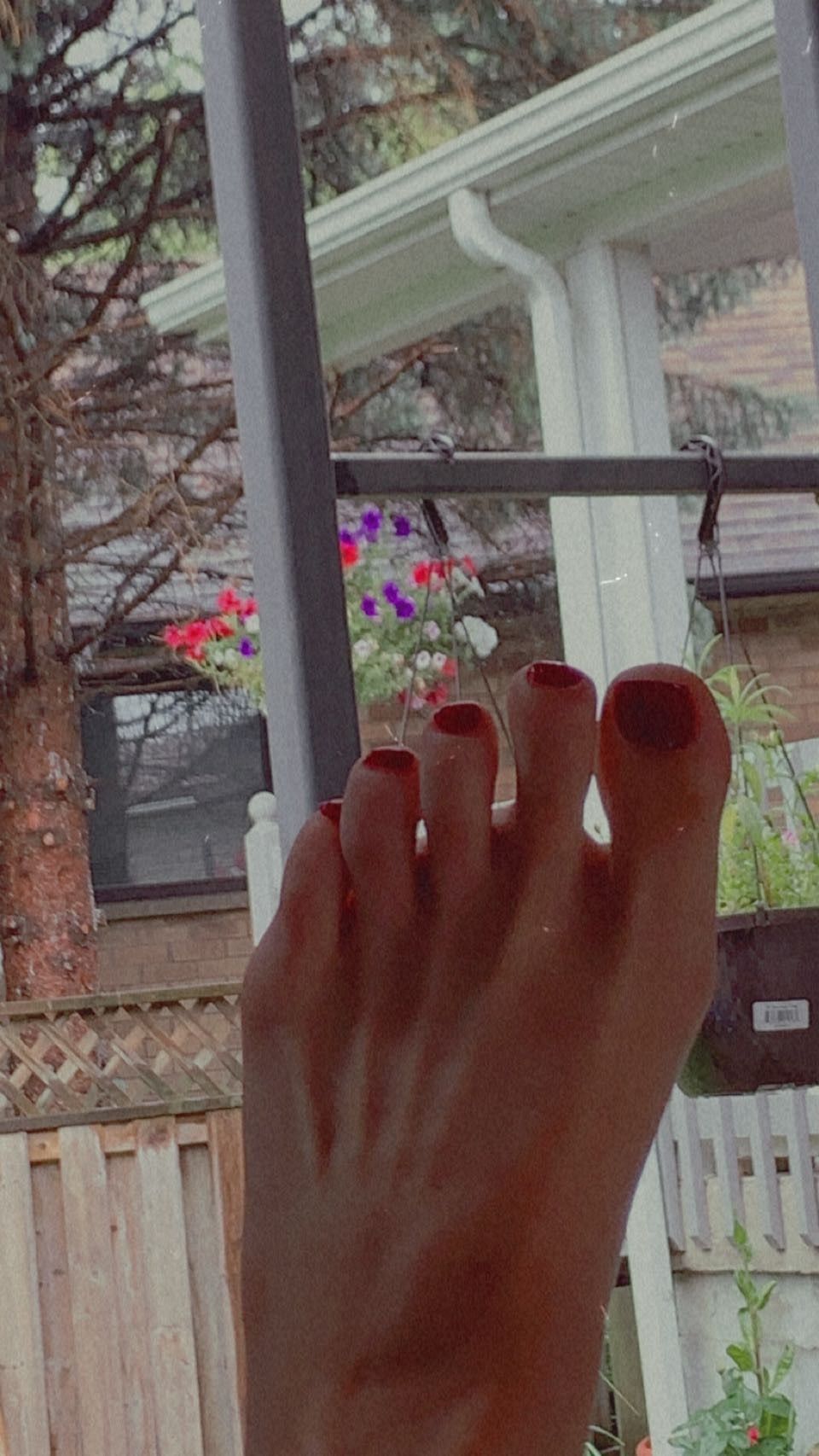 teasingfeet OnlyFans profile picture