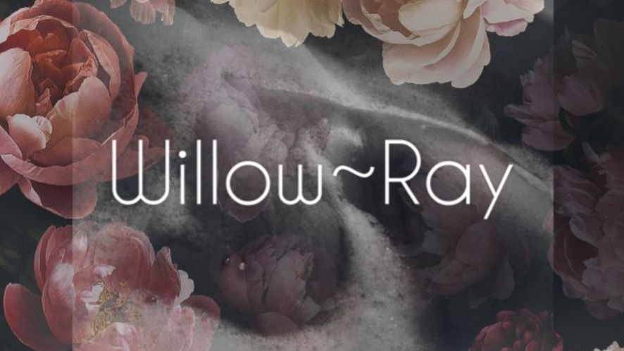 willowray OnlyFans profile picture