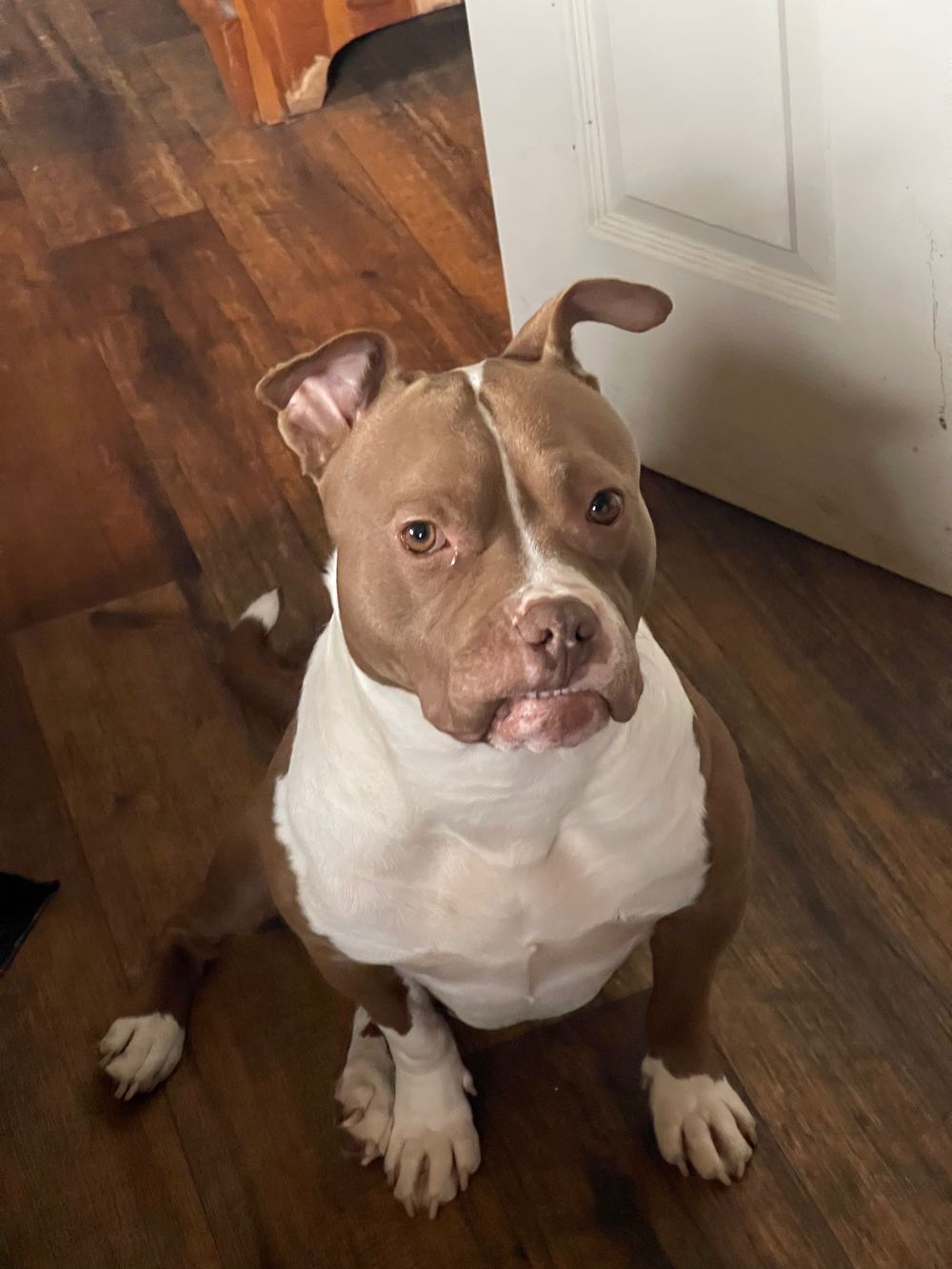jessicajinks OnlyFans profile picture