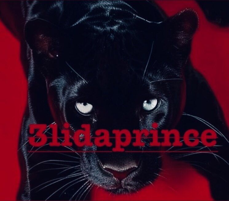 elidaprince OnlyFans profile picture