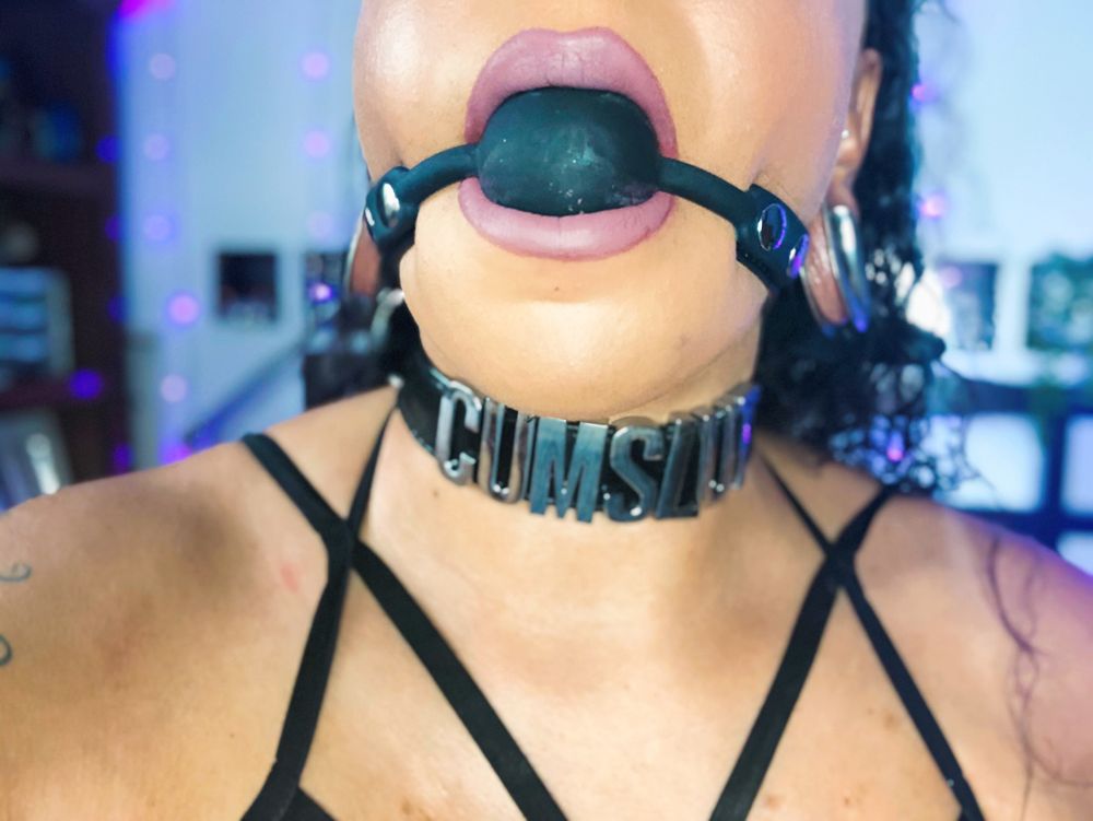 sinoa OnlyFans profile picture