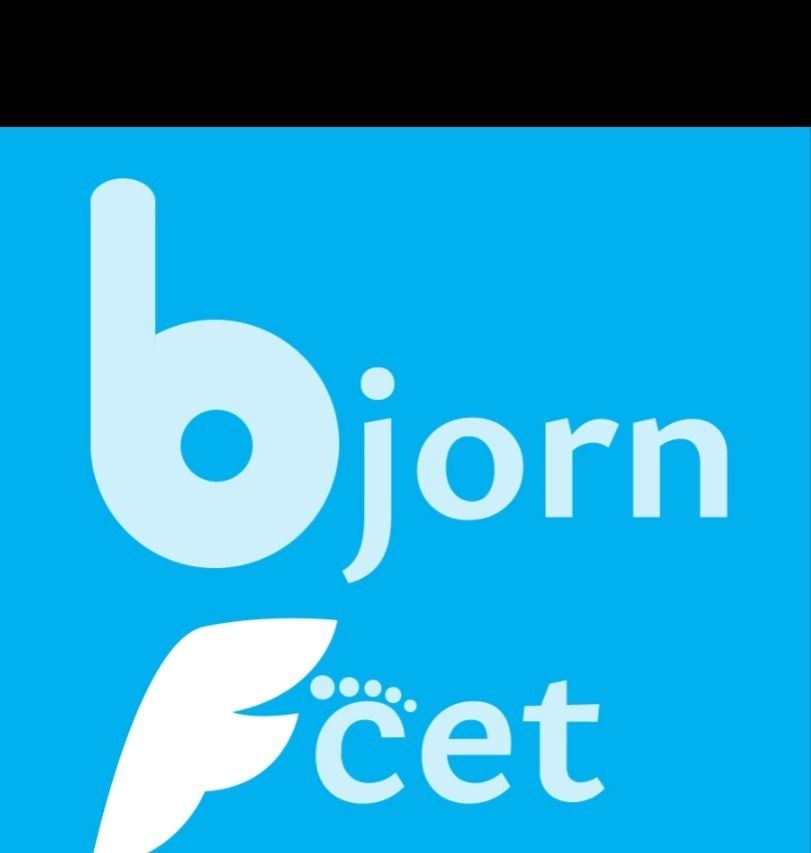 bjornfeet OnlyFans profile picture