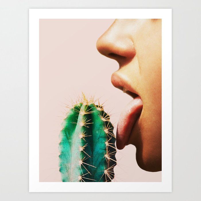 tequilamamacita OnlyFans profile picture