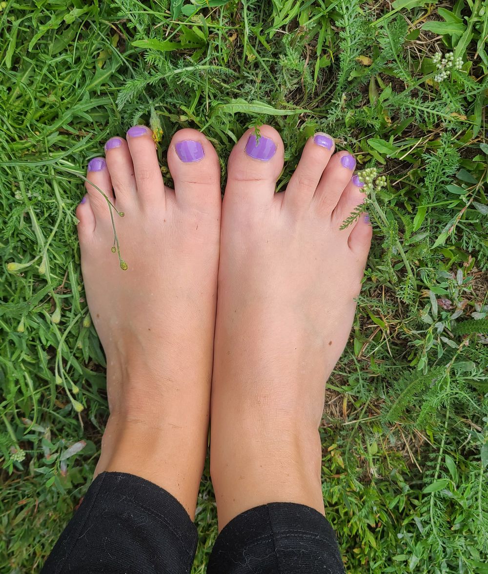 lil.piggies OnlyFans profile picture