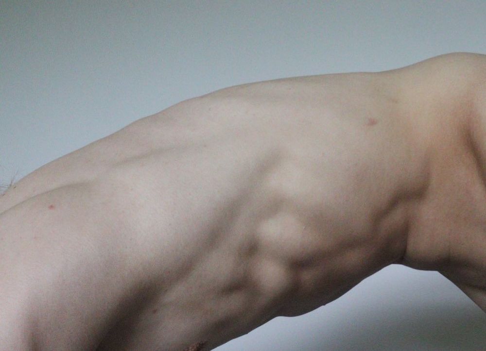 offffanim OnlyFans profile picture