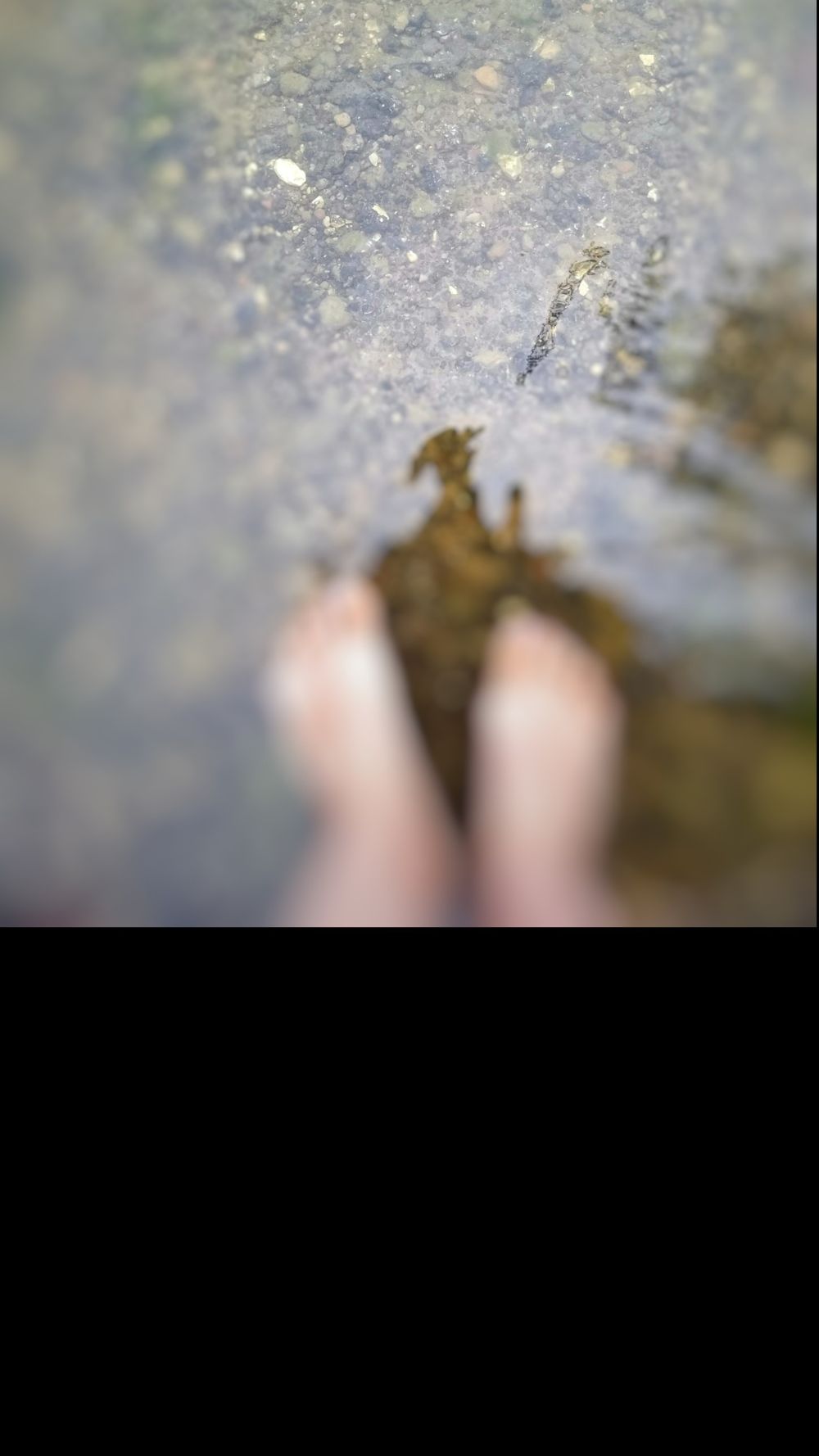 feistyfeet70 OnlyFans profile picture