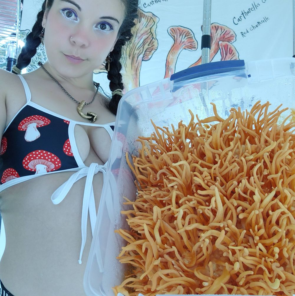 shroomy.baby OnlyFans profile picture