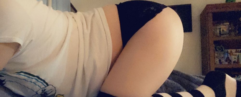 theshynerdgirl OnlyFans profile picture