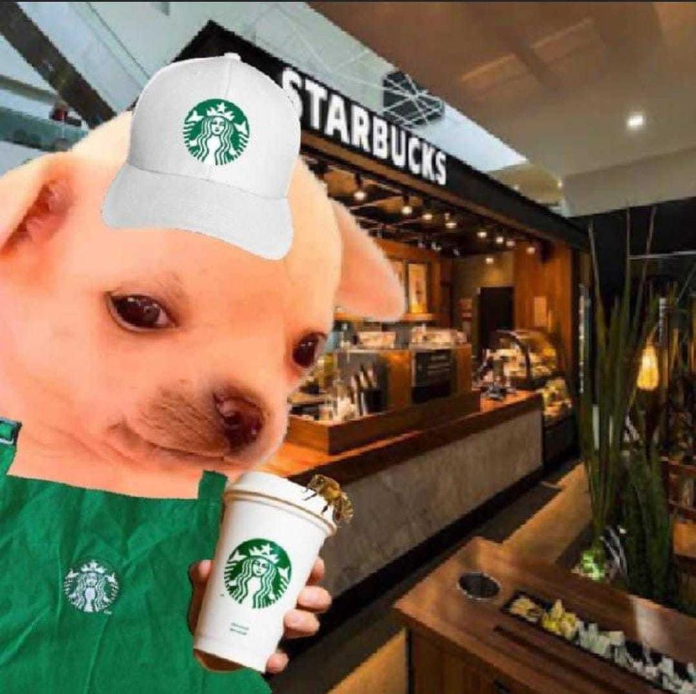 biboyvlad OnlyFans profile picture