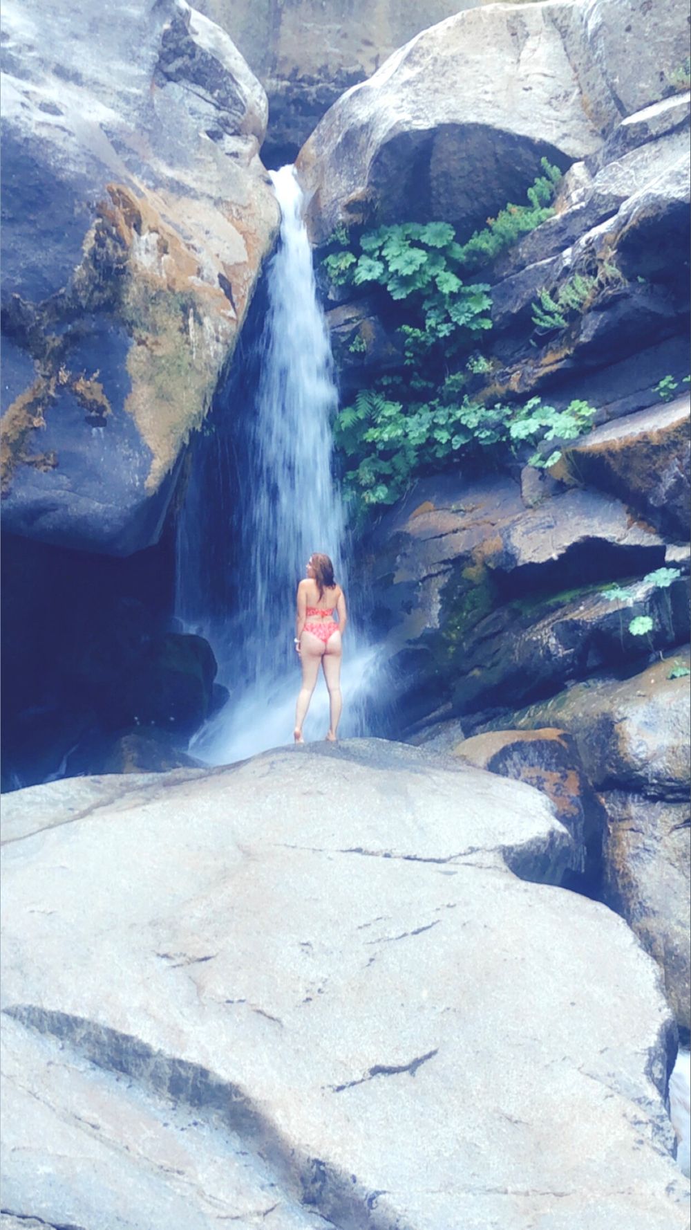 emilylikeseggrolls OnlyFans profile picture