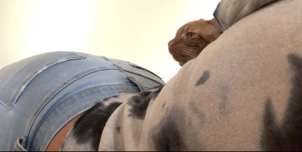 lexbdym OnlyFans profile picture