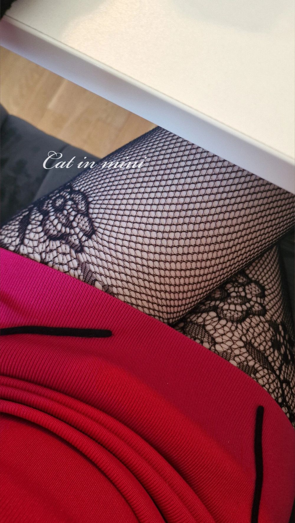 cat.in.mini OnlyFans profile picture