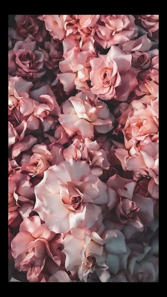 mimi_96 OnlyFans profile picture