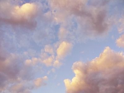 starryghoul OnlyFans - Stats, Graphs, Photos & Profile Comparisons