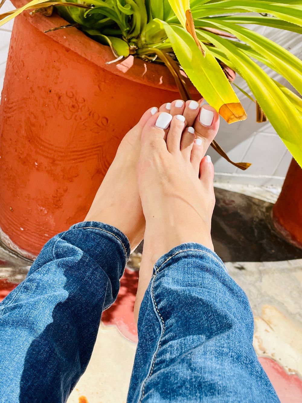 holasoyvelvetsecret OnlyFans profile picture