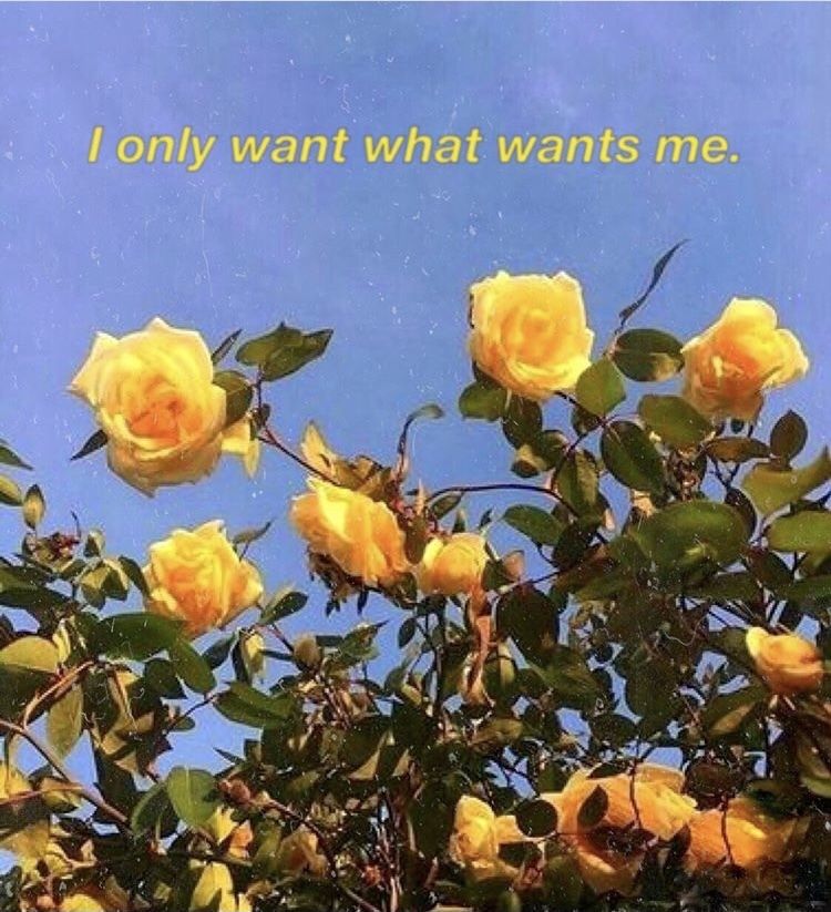 frenchbb OnlyFans profile picture
