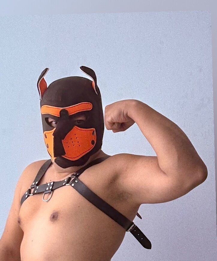 strikerwolf OnlyFans profile picture