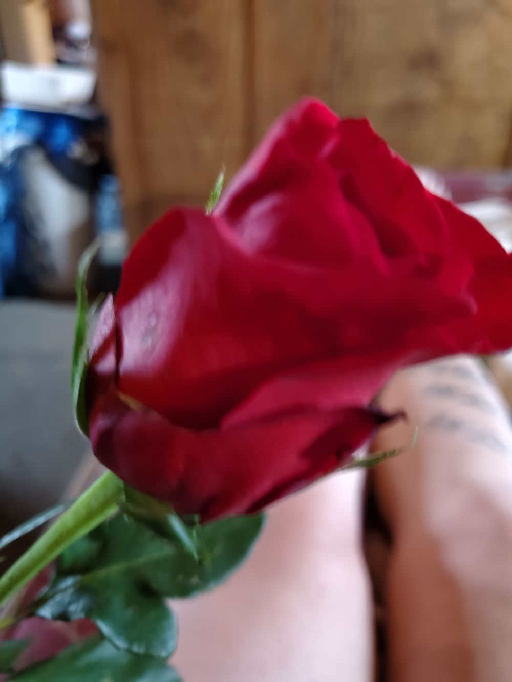 erotikstoriesandmore OnlyFans profile picture
