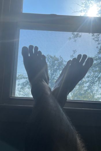 DL