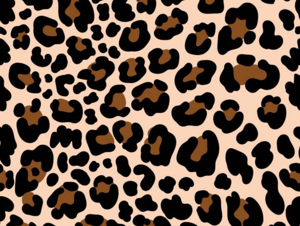 wildncream OnlyFans profile picture