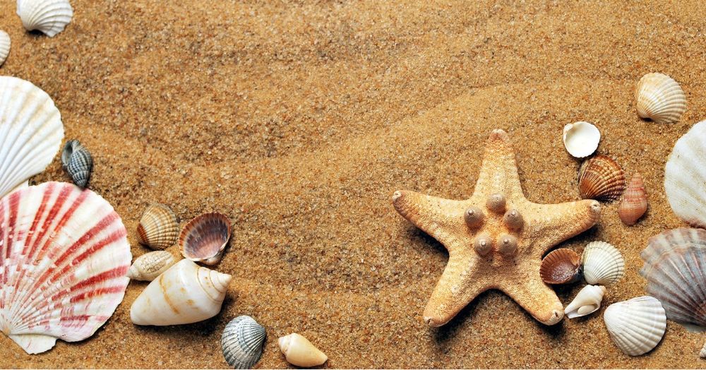 mekarica OnlyFans profile picture