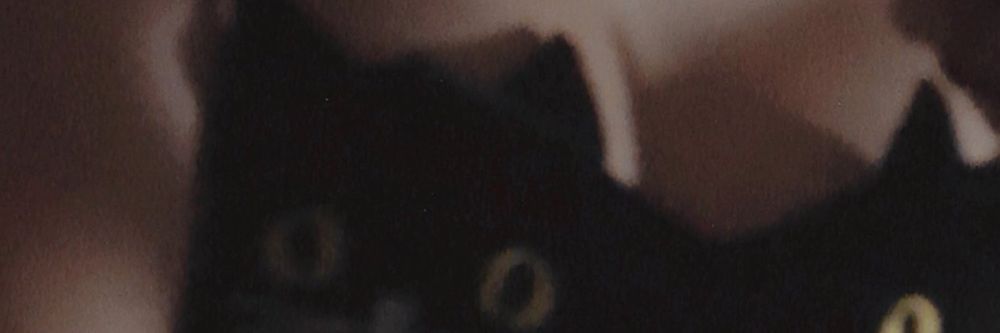 peachiiex OnlyFans profile picture