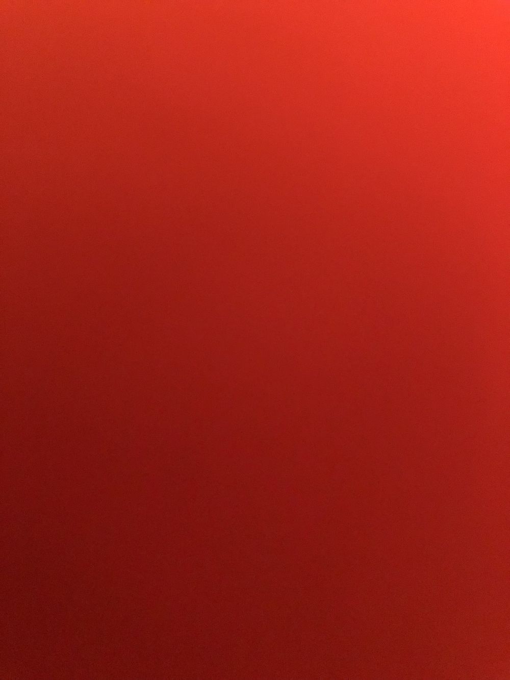 ludovikauwu OnlyFans profile picture