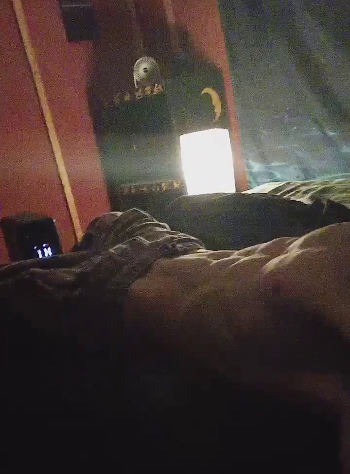 thewalrus1202 OnlyFans profile picture